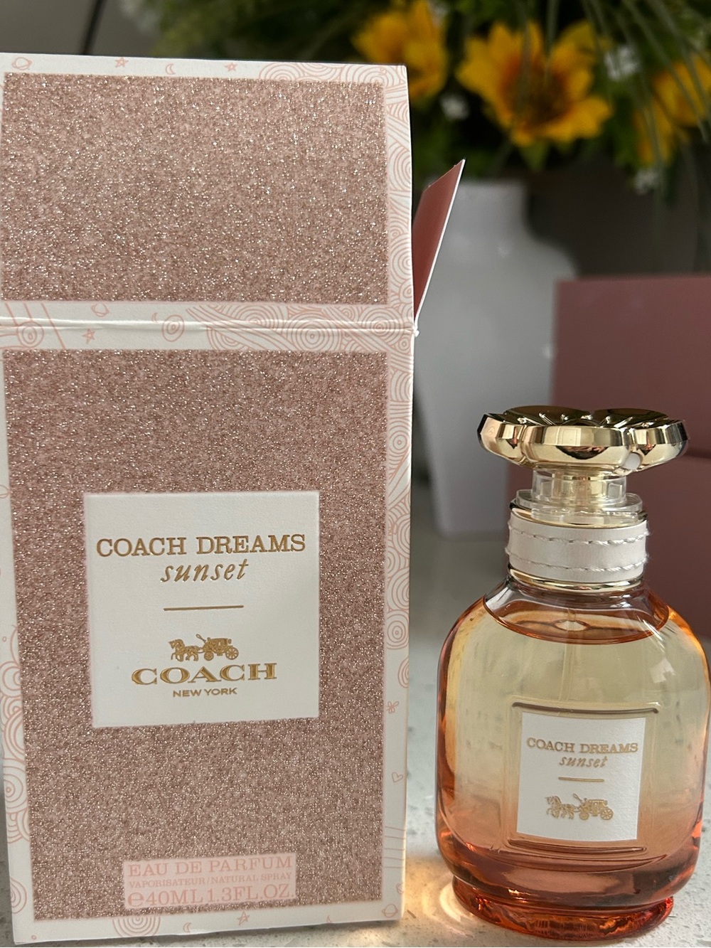 Coach Dreams - Sunset